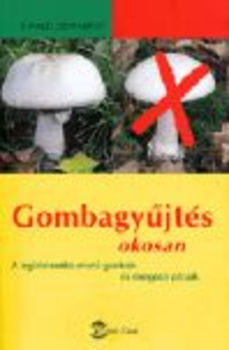 Gombagyűjtés okosan - A legízletesebb ehető gombák és mérgező párjaik